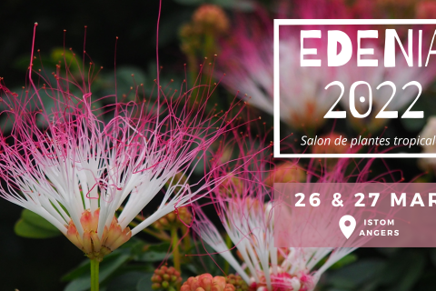 EDENIA - Salon de plantes tropicales