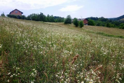 Projet PACAD en Bosnie-Herzégovine 