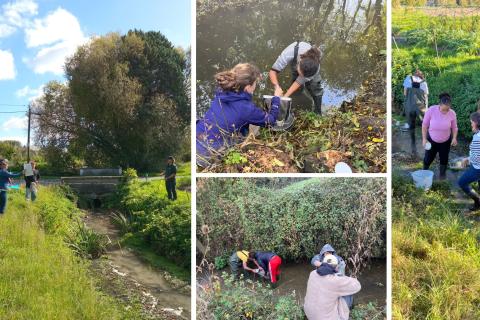 Terrain eau pollution